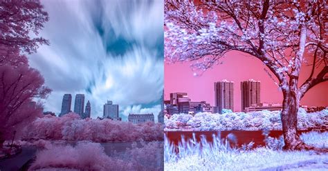 An Introduction to Digital Infrared Photography