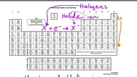 Group 7 Halogens Periodic Table - Periodic Table Timeline