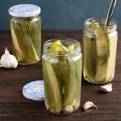 Best Easy Homemade Pickles Recipes