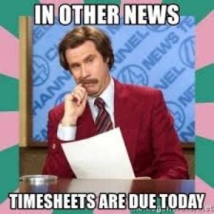 50+ Best Timesheet & Payroll Memes