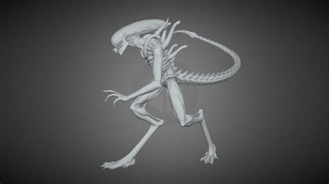 Alien Xenomorph - 3D model by damasquino_inox [4ec9034] - Sketchfab