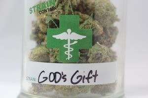 God's Gift Strain Review