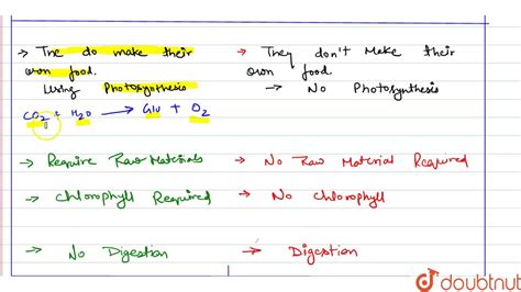 Heterotrophs Examples