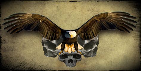 Eagle with skull by TimHag on DeviantArt