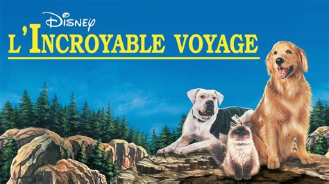 Regarder L'Incroyable Voyage | Film complet | Disney+