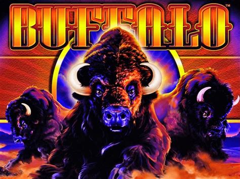 Buffalo Slots Review 2024 - Great Wins + Bonus Round