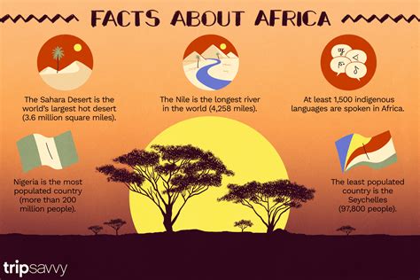20 Facts About Africa - vrogue.co