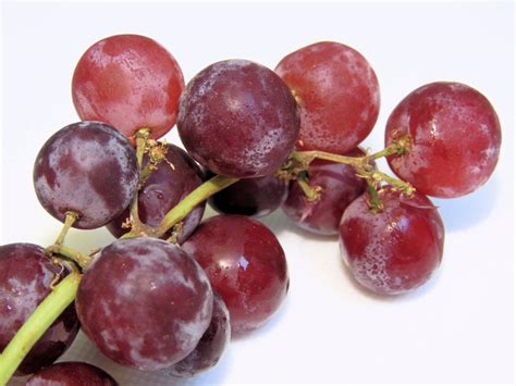 Red Seedless Grapes Nutrition Facts - Eat This Much