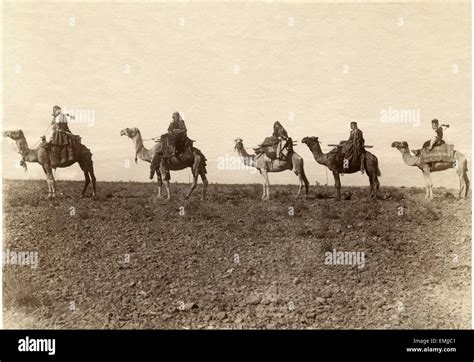 Camel Caravan in Desert, Egypt, circa 1880 Stock Photo - Alamy