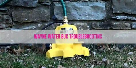 Wayne Water Bug Troubleshooting [Complete Guide]