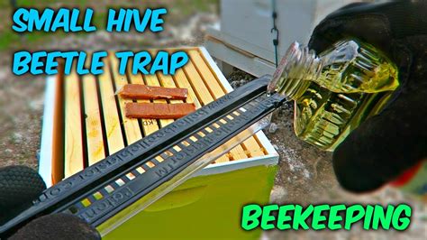 Easy Small Hive Beetle Trap - Beekeeping - YouTube