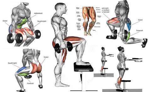 Will 4 Exercises Build And Strengthen Glutes And Hamstrings? Yes! We Have The Workout Here ...