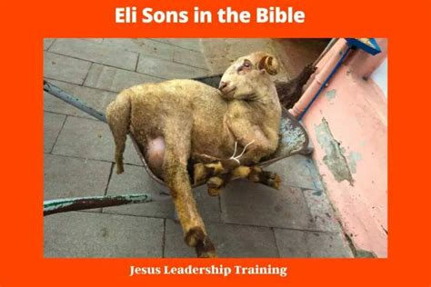 Eli Sons in the Bible | Eli | Sons Bible | Hophni and Phinehas | PDF