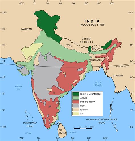 Write the name of the soils that are marked on the outline map of India.