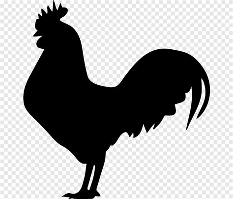 Rooster Chicken Silhouette, rooster, animals, galliformes png | PNGEgg