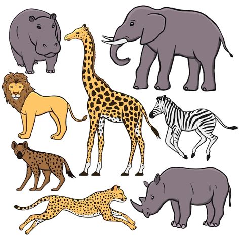 Premium Vector | Set of african animals: hippopotamus, elephant, lion, giraffe, zebra, hyena ...