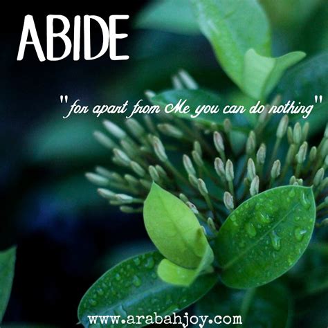 Abide In Christ eCourse