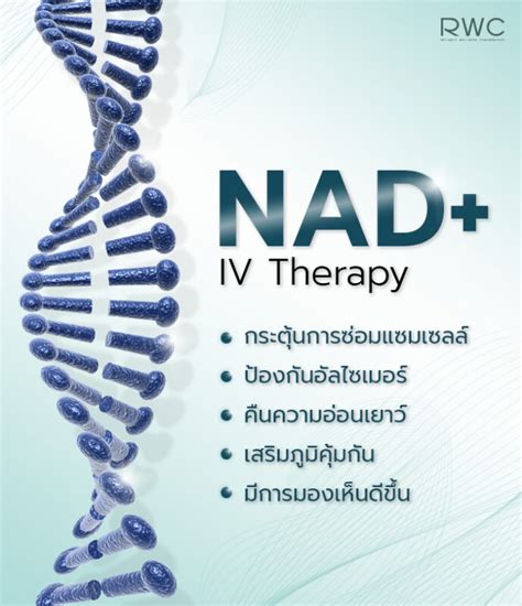 NAD+ IV Therapy ตัวช่วยฟื้นฟูและชะลอความแก่ เสริมภูมิคุ้มกัน