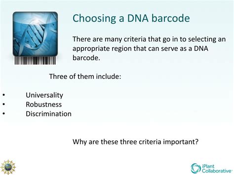 PPT - Plant DNA Barcoding PowerPoint Presentation, free download - ID:4245029