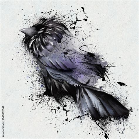 Drawing black Raven, close-up, isolated on white background, with ...