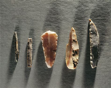 Prehistoric Stone Tools Categories and Terms