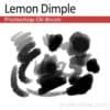 Lemon Dimple - Photoshop Oil Brush - Grutbrushes.com