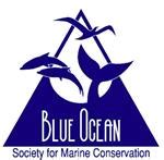 Blue Ocean Society - Marine Conservation | Education | Environmental ...