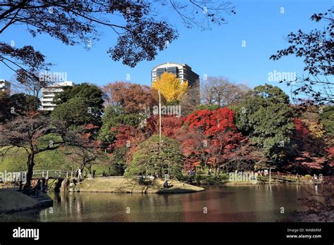 Autumn in Tokyo, Japan - Koishikawa Korakuen Garden Stock Photo - Alamy