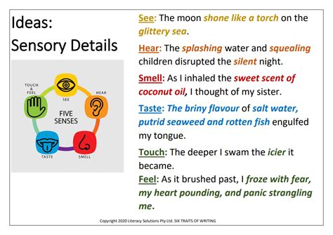 Ideas: Sensory Details Chart: Literacy Solutions