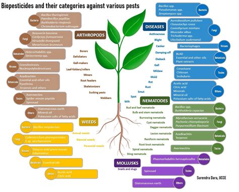 Agricultura&Agronomia on Twitter: "O controle de pragas torna-se verde 🌱🐜 Os benefícios dos ...