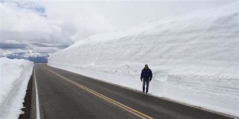 Living and Dyeing Under the Big Sky: Beartooth Highway in June - Snowy ...