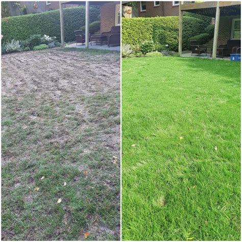 5 Major Ways Professional Lawn Care Makes Your Life Easier