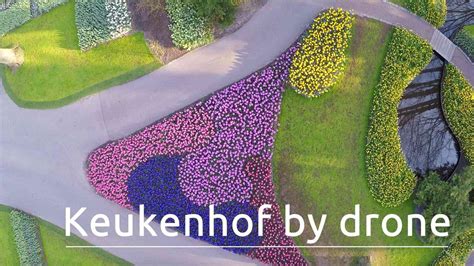 Un drone nos muestra impresionantes imágenes aéreas de Keukenhof, uno ...