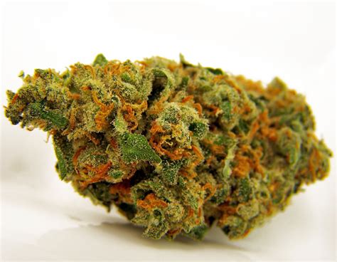 Buy Jack Herer Marijuana Strain - Supreme-Ganja