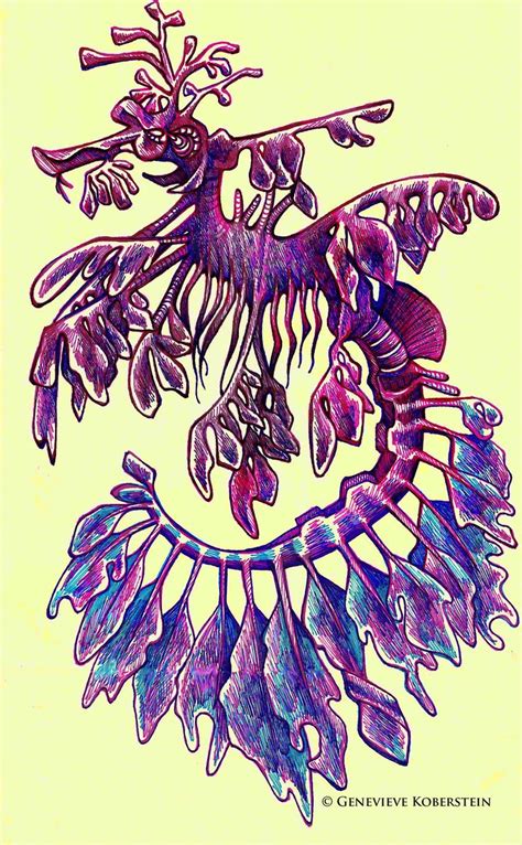 Leafy sea dragon by honey-art on deviantART | Leafy sea dragon, Sea creatures drawing, Sea dragon