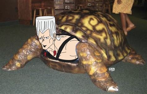 Polnareff Turtle (shitpost) by korkiancult on DeviantArt