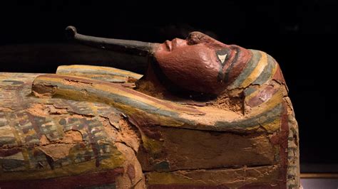 Mummies opens at the Natural History Museum with a late night on Friday