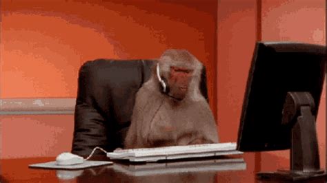 Bered Typing GIF - Bered Typing Monkey - Discover & Share GIFs