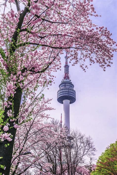 Sunset at Namsan Tower in Seoul,South Korea Stock Photo - Image of ...