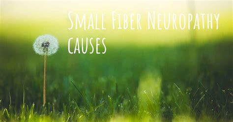 Which are the causes of Small Fiber Neuropathy?