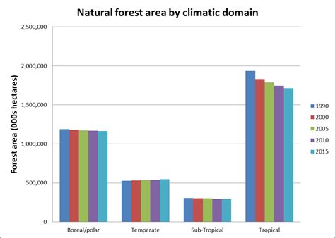 Forest loss has halved in the past 30 years, latest global update shows