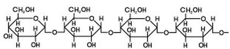 Iodine Test for Starch - Brilliant Biology Student