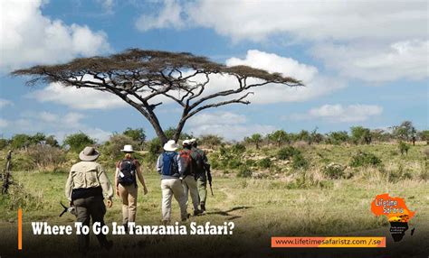 Tanzania Safari Tours – Tips For Planning A Successful Tanzania Safari ...