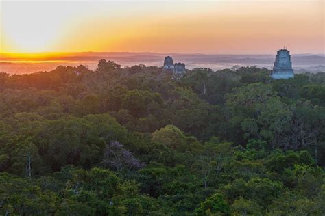 Tikal Sunrise Tour (Before the Park Opens) - Kated