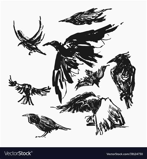 Raven Royalty Free Vector Image - VectorStock