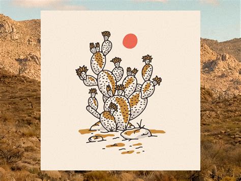 Desert Cactus by Mark Johnston on Dribbble