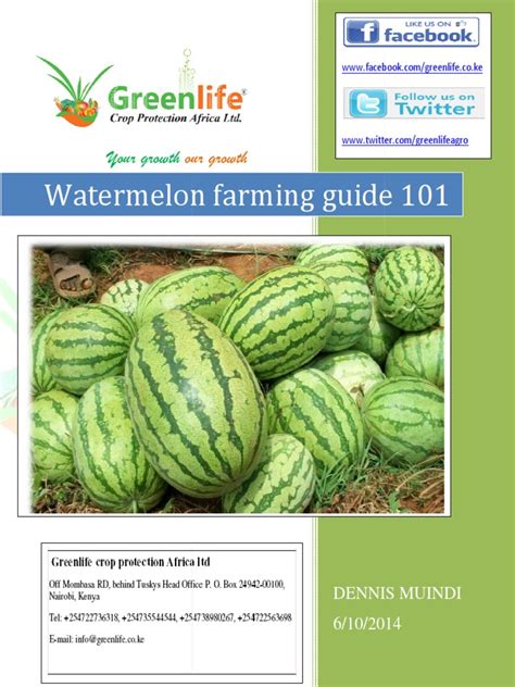 Melon Farming Guide | PDF | Watermelon | Soil