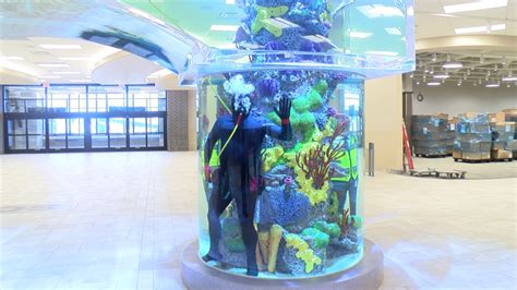 283 fish added to Scheels' 16,000-gal saltwater aquarium