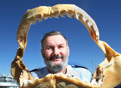Craig Newman, Australian Shark Hunter