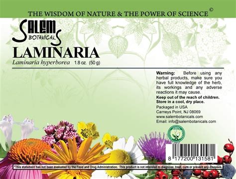 Laminaria - Salem Botanicals